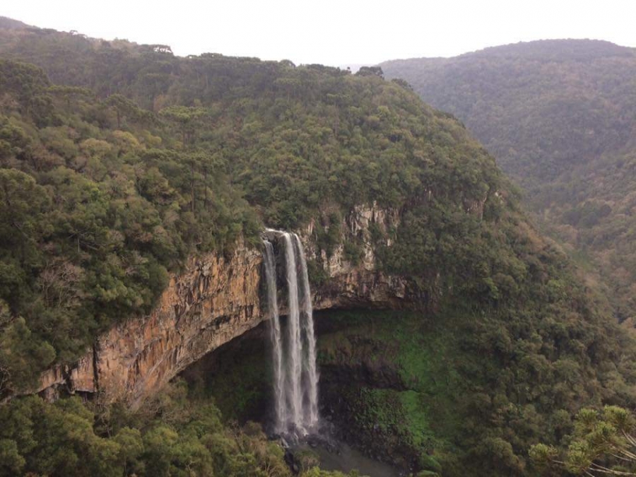 Foto: Discovery Places Now